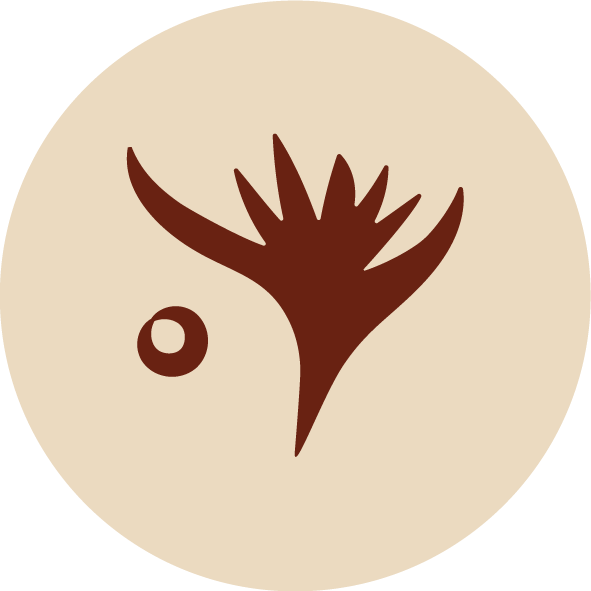 A Name Inspired by Nature